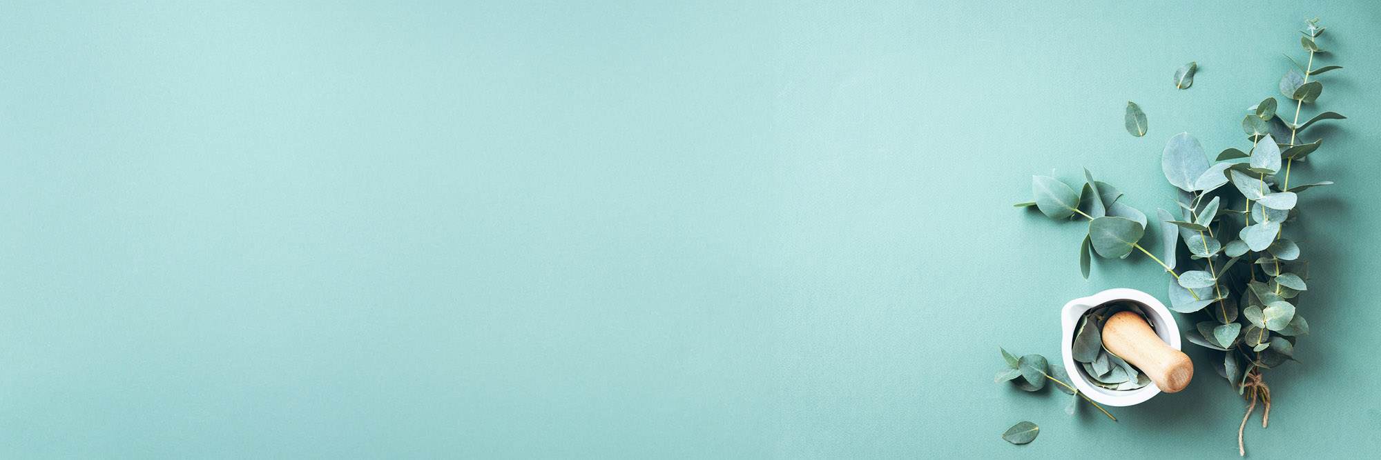 Yatan Holistic Ayurvedic Centre