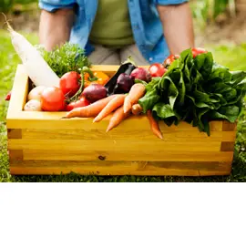 Ayurvedic Nutrition consultations advise healthy wholefood diets