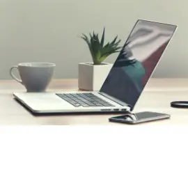 Telehealth Ayurvedic consultations