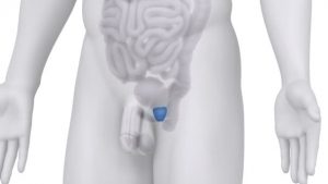 Changes and Warning Signs reproductive system