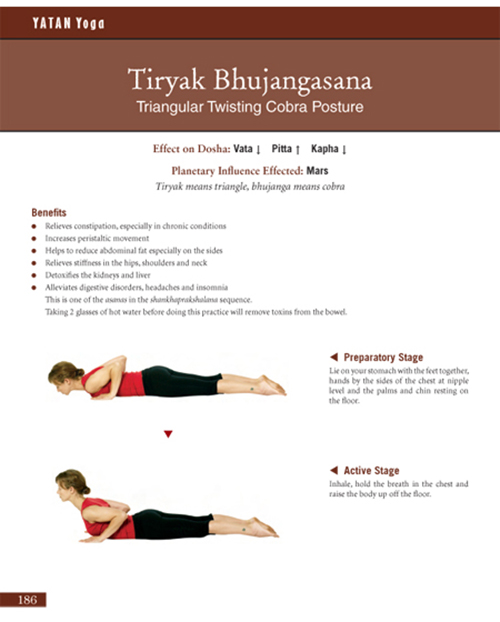 Yatan Yoga - Image 8