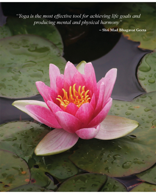 Yatan Yoga - Image 6